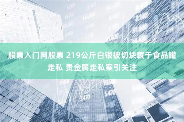 股票入门网股票 219公斤白银被切块藏于食品罐走私 贵金属走私案引关注