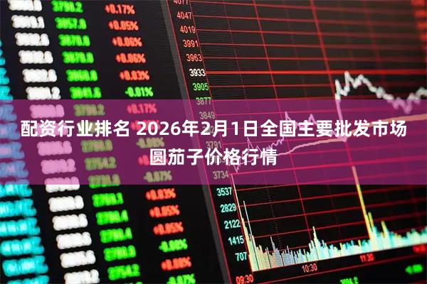 配资行业排名 2026年2月1日全国主要批发市场圆茄子价格行情