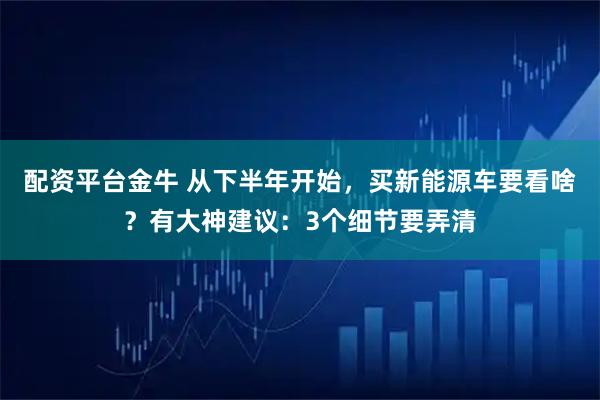 配资平台金牛 从下半年开始，买新能源车要看啥？有大神建议：3个细节要弄清