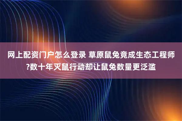 网上配资门户怎么登录 草原鼠兔竟成生态工程师?数十年灭鼠行动却让鼠兔数量更泛滥